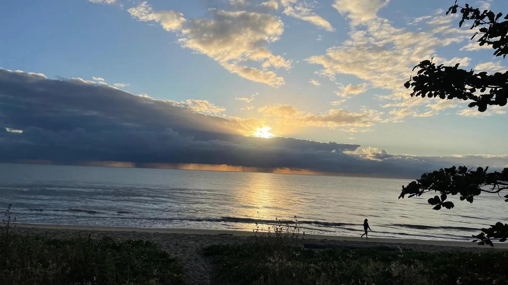 The York Beachfront Holiday Apartments Yorkeys Knob